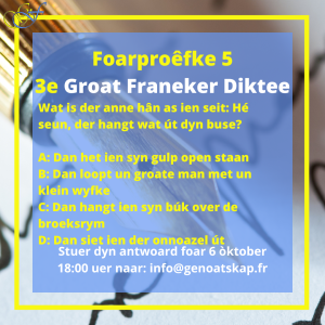 3e Groat Franeker Diktee Foarproêfke 5